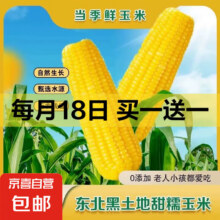 2025年东北黄糯玉米8支 150-200克8.54元（合4.27元/件）
