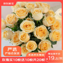 京东鲜花昆明基地玫瑰花买10枝送10枝颜色随机色玫瑰【热卖】源头直发23.9元（部分地区19.8元）
