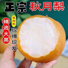 果领队 正宗山东秋月梨 5斤【精挑商超大果300g+净4.5斤