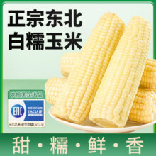 农投！东北白糯玉米280-350g*8棒15.9元