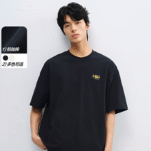 PEACEBIRD 太平鸟 男时尚圆领刺绣T恤（19款任选）￥96.10 2.9折
