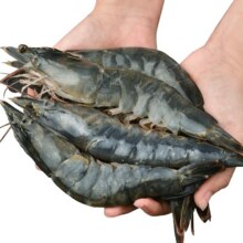 贩鲜湾 16-18厘米整箱 3斤(净重)52.9元