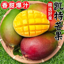 久雅优鲜 广西大芒果4.5-5斤单果400g+