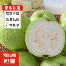 京喜加【送酸梅粉】福建白心芭乐 2斤  带箱重5.9元