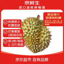 5日0点：京东生鲜 泰国金枕榴莲 巴掌榴莲2个组合装 单粒2-3斤
