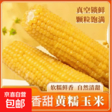 新鲜黄糯玉米 140g-180g 6根装 真空包装4.99元包邮