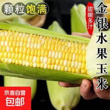 京喜 甘肃 清甜水果玉米 2斤 带箱1.99元
