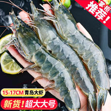 虾有虾途 XYXT 新鲜青岛大虾 单只15-17厘米 2kg49.9元