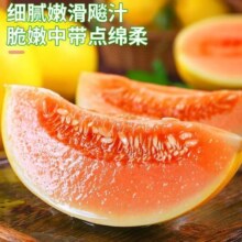 20点：民勤黄河蜜瓜沙漠黄金脆甜瓜 1.5-2斤*1件