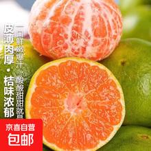 兀果语2025年云南密桔酸桔子当季薄皮橘子孕妇新鲜水果爆汁无核青 2斤2.99元