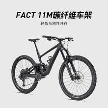 闪电 ENDURO EXPERT 碳纤维车架避震软尾山地自行车