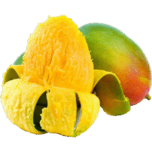 壹萌果蔬 凯特芒芒果 5斤精品果【单果300g+】 净4.5斤9元（需领券）