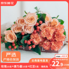 京东鲜花 七夕礼品生活鲜花 玫瑰10支+康乃馨10支+红豆5支共3束新低17.9元包邮