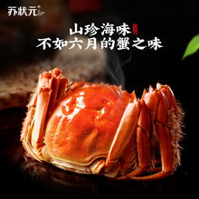 苏状元 活蟹大闸蟹2.3-2.6两去绳足重8只礼盒148元