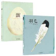 蛋和羽毛绘本 精装共2册 德国艺术科普图书奖、博洛尼亚国际儿童书展特别奖,融合科学、人文与艺术的博物百科绘本 课外阅读 延伸思考 寒假阅读77元