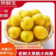 京鲜生 韶关乐昌黄金奈李 净重5斤 单果70g+新低34.16元包邮（6.83元/斤）