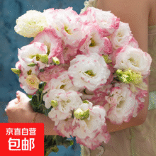 无刺玫瑰鲜花云南直发鲜花混搭花束 洋桔梗 20-25个花苞12.99元 七夕情人节520礼物