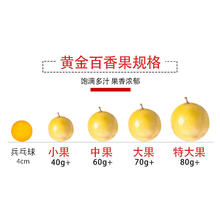 限移动端、京东百亿补贴：京鲜生 钦蜜9号黄金百香果 3斤净重70g+/15-21个