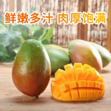 三亚芒果  海南芒果新鲜水果生鲜整箱当季大青皮芒 热带孕妇芒果 5斤装（净重4.5斤） 单果200克+9.88元（需领券）
