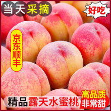 同甘园水蜜桃 现摘 整箱5斤单果110-200g净重4.5斤12.78元（需领券）