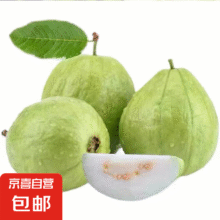 白心芭乐 净重4.5斤 单果100g+14.9元