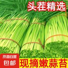 京喜加 新鲜蒜苔 新鲜蒜苔 1斤