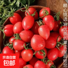新鲜圣女果 带箱5斤8.9元