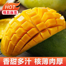 有券的上：源生鲜 三亚芒果 当季大青皮芒 5斤装