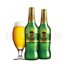 奥古特 青岛啤酒瓶装啤酒12度 480mL 6瓶 整箱装 赠扎啤杯2个
