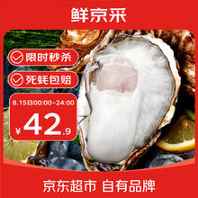 京鲜港 生蚝5斤 4XL 10-13只装 源头直发 露营烧烤