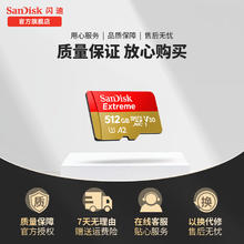 SanDisk 今日必买：SanDisk内存卡tf卡运动相机卡高速无人机MicroSD卡u3/v3 512G