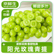 京鲜生 国产阳光玫瑰净重4.5斤单果10g 葡萄/提子生鲜水果 源头直发包邮券后24.9元