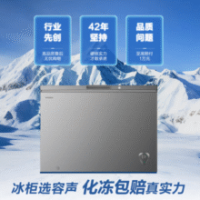 容声 BD/BC-300ZMSMA 冷柜 300升 一级能效