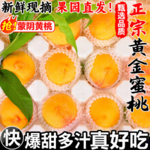 粤迎山东蒙阴黄桃 5斤精选果【香甜爆汁】净4.5斤14.99元（需领券）