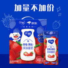蒙牛纯甄草莓果粒风味酸奶211g×10盒 整箱定制装