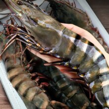 再降价、88vip：北海湾特大黑虎虾600g*3盒老虎虾Q弹单只冻3.6斤