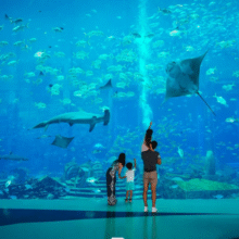 美团 三亚 亚特兰蒂斯水族馆单人门票