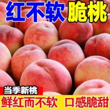 新鲜水蜜桃 带箱5-5.3斤精选大果【单果140克】10.78元