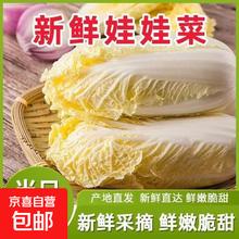 京喜 新鲜精品娃娃菜现砍现发小包装新鲜蔬菜生鲜产地直发 新鲜娃娃菜3棵1.75元
