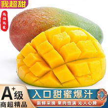 集年鲜 广西大青芒 净重4.5斤