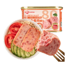 温氏经典午餐肉罐头198g*2件9.8元（合4.9元/件）