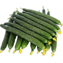 新鲜黄瓜现摘现发新鲜蔬菜生鲜可生吃炒菜非水果黄瓜 净重 2斤 试吃装2.49元