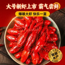 2025年新虾！国联水产 小霸龙 麻辣+蒜香+十三香小龙虾 750g*3盒￥57.13 2.6折
