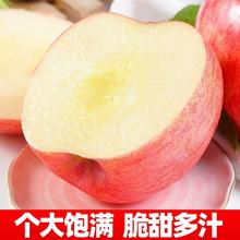 红富士 陕西 红富士苹果冰糖心一级脆甜整箱包邮 净重4.5斤 65mm(含)-70mm(不含)券后16.9元