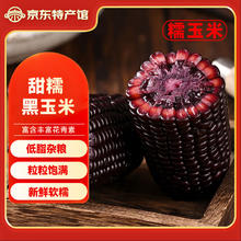 发鲜号 精品东北黑甜糯玉米180-200克 10个12.8元