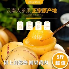晟容果蔬 云南石林人参果 净4.5-5斤甄选果丨单果50-80g丨店长推荐12.58元