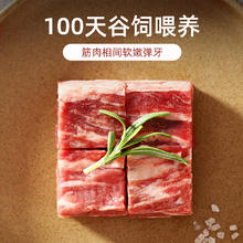 1号会员店 澳洲原切牛腩粒 谷饲原切 肥瘦相间 炖煮食材 牛肉 生鲜 1kg券后69元（276元包邮/4件）