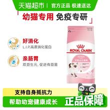 皇家 K36幼猫猫咪干粮33元