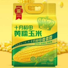 十月稻田 黄糯玉米 1.76kg/220g*8根15.91元