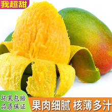 集年鲜 广西大青芒果当季热带甜心多汁芒果 新鲜水果生鲜整箱 净重9斤（单果300g起）券后9.9元